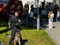eZy-Watermark_11-05-2025_08-34-19-9100PM