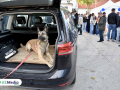 eZy-Watermark_28-09-2025_11-12-26-4110AM
